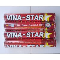 CẦU VINASTAR ĐỎ SIÊU TIẾT KIỆM