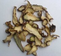 Cây bạch cập | Liên cập thảo | Sâm răng | Lan bạch cập