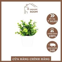 Cây bạch đàn nhân tạo Dreamee Room