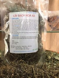 CÂY BẠCH HOA XÀ