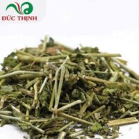 Cây Bim Bịp Đức Thịnh