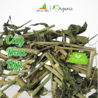 Cây Bìm Bịp, Xương Khỉ, Mảnh Cộng, Bách Giải