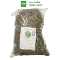 Cây bòng bong hay còn gọi là hải kim sa sấy khô loại 1 JINDO 1kg tác dụng hỗ trợ điều tr_ị ph_ù th_ận, suy thậ_n