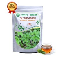 Cây bòng bong khô ( hải kim sa ) - Tấn Phát