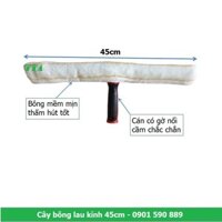 Cây bông lau kính kích thước 45cm