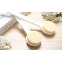 Cây Bông Tắm Chà Lưng