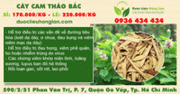 Cây Cam Thảo Bắc khô