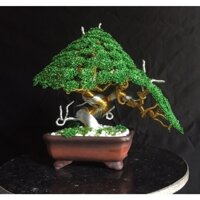 Cây cảnh bonsai handmade