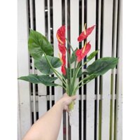 Cây Cảnh Giả - Cây Hồng Môn Đẹp Decor Nhà Cửa