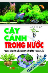 Cây Cảnh Trong Nước