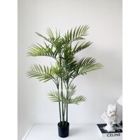 Cây Cau giả cao 1m2 - Trang trí sân vườn & ngoại thất - Lehomme Decor