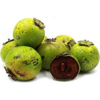 cây Cây Hồng Socola độc đáo. Trồng 10 tháng cho trái  - Cây Giống Nhập Khẩu