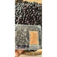cây Cây Trâm Đen ..8 cây tháng cho trái  - Cây Giống Nhập Khẩu
