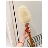 CÂY CHÀ LƯNG LÀM SẠCH LƯNG THÁI LAN