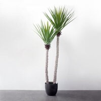 Cây Chi Huyết Giác Giả 2 Nhánh Trang Trí Cửa Hàng, Studio, Tiệm Quán, Văn Phòng, Nhà Cửa – Cao 1m2 – Mã: PN-CG0274