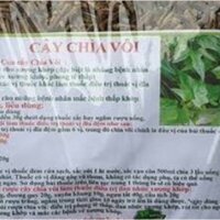 Cây chìa vôi 1 kg