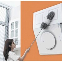 Cây Chổi Lau Trần Nhà