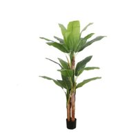 Cây chuối cảnh giả - Cao 150cm _ 180cm