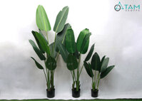 Cây chuối cảnh giả lá xẻ loại 01 F-CHGL-10