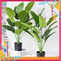 Cây chuối giả cao 80cm ,18 lá trang trí nội thất siêu đẹp - Kho Sỉ Tuyên Quang