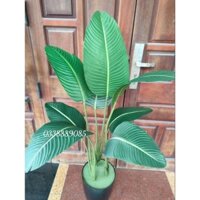 Cây chuối giả- cây chuối cảnh nhiều size hàng lá nhám (mờ) hàng xịn - ảnh, video thật