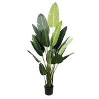 Cây chuối giả, cây chuối cảnh cao 1.2m -1.8m. Chuyên cây chuối cảnh giả Decor nhà hàng, cafe