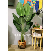 cây chuối giả lá ép hàng cao cấp(tặng kèm giỏ) ảnh kèm video thật