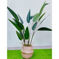 Cây chuối giả lá nhọn 1m2-1m6, cây giả lá lụa siêu đẹp - chuối cảnh trang trí nội thất (không chậu)