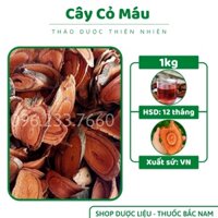 Cây cỏ máu ⚡ CHẤT LƯỢNG CAO ⚡ cây cỏ giúp bổ máu tăng cân tự nhiên, lợi sữa cho người đang cho con bú