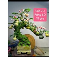 Cây đá phong thủy, cây hồ lô tài lộc đá ngọc phong thủy