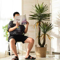 Cây Đại Lộc núi cây giả Decor trang trí không gian sống