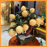 Cây Đào Tiên, Cây Đào Tài Lộc 12 Quả Đá Ngọc Hoàng Long Thiên Nhiên Dáng Lộc Vượng Để Trang Trí Nhà Cửa