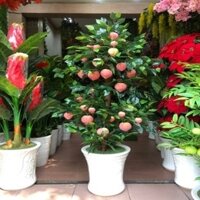 Cây đào tiên giả