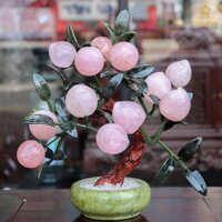 Cây Đào Tiên Thạch Anh Hồng 12 Quả