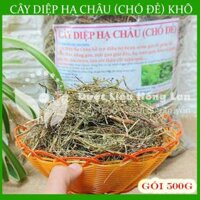 Cây Diệp Hạ Châu Cây Chó Đẻ khô 500gram