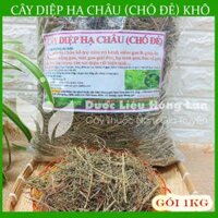 Cây Diệp Hạ Châu Cây Chó Đẻ khô 1kg