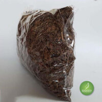 Cây Dong Riềng Đỏ – Hỗ trợ điều trị bệnh mạch vành JD162 caydongrieng – Bách An Khang | Bachankhang.com | Thế giới thảo dược, đông trùng hạ thảo, yến sào Khánh Hòa