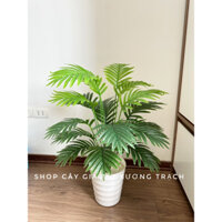 cây dừa cảnh 80cm - 18 nhánh lá (cây giả trang trí)