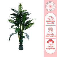 Cây Dừa Cảnh Giả 5 Thân, Cao 1.7M Decor Nhà Cửa Siêu Đẹp - Trang Trí Ngọc Minh