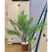 Cây dừa cảnh giả cao 90cm tặng kèm chậu và đá trang trí