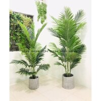 Cây dừa cảnh giả trang trí giống thật 160cm hằng decor