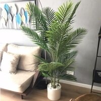Cây dừa cảnh giả