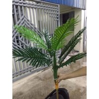 cây dừa to cây giả trang trí.