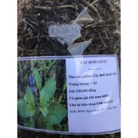 Cây đuôi chuột phơi khô 2 ký ( miễn phí vận chuyển )