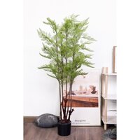 Cây dương xỉ cu li giả bằng nhựa cao 120cm trang trí nhà cửa - CC202 - Jassi Decor