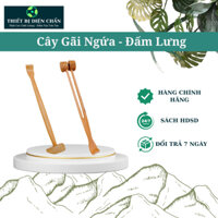Cây Gãi Ngứa Đấm Lưng Gỗ Bách Xanh - Dụng Cụ Diện Chẩn