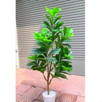 Cây giả - Cây bàng Đài loan 160cm  decor phòng khách, nhà hàng.( kèm chậu nhựa)