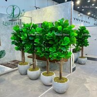 Cây giả - Cây bàng Đài loan 160cm  decor phòng khách, nhà hàng.