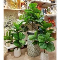 Cây giả -  Cây bàng Singapore giả cảnh cao 1m -1,2 met Lá dày đẹp kèm chậu trang trí nội thất siêu yêu