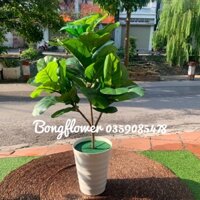 Cây giả - cây bàng Singapore giả và cây chuối giả cảnh decor siêu xinh